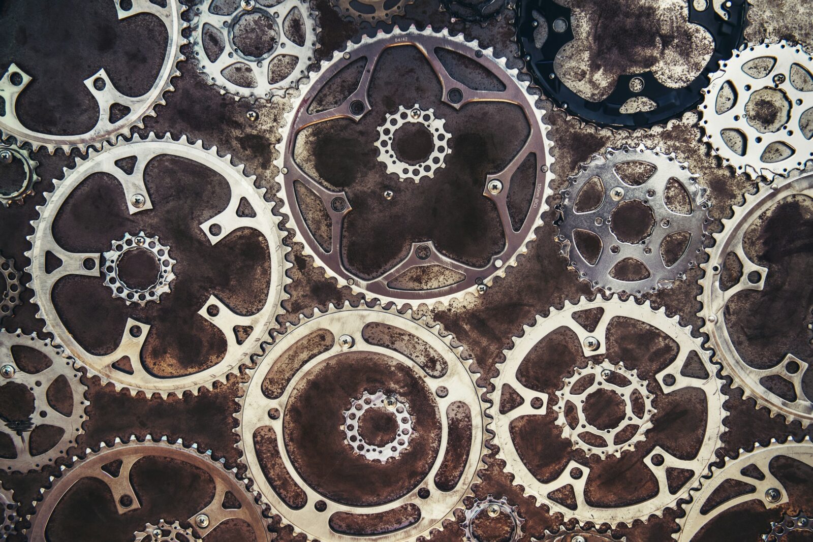 Gears laid out on the ground.