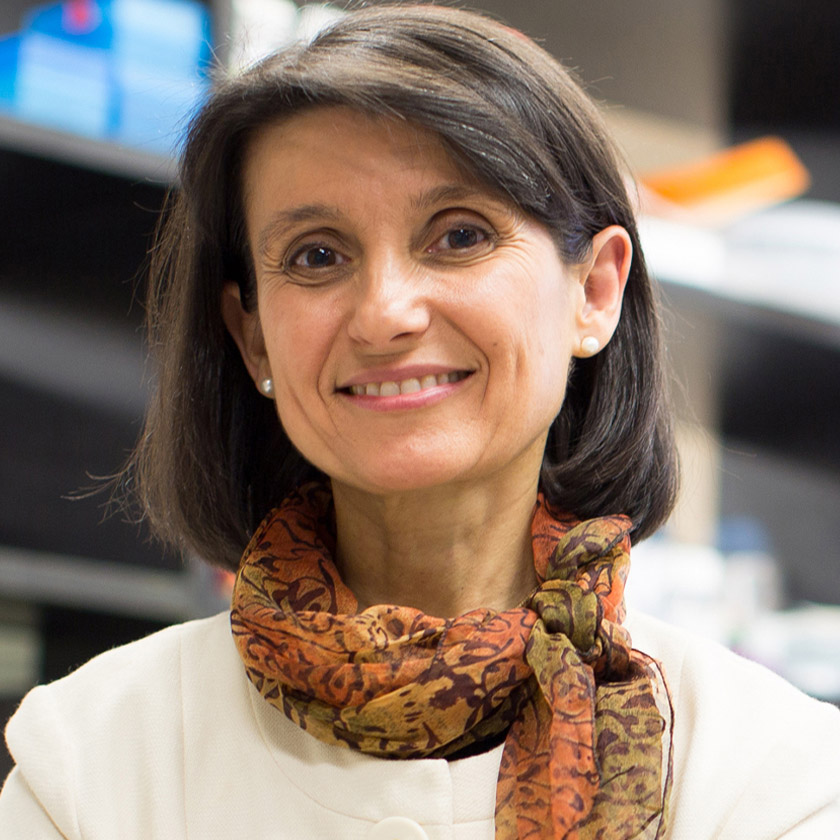 Headshot of Ana Maria Cuervo
